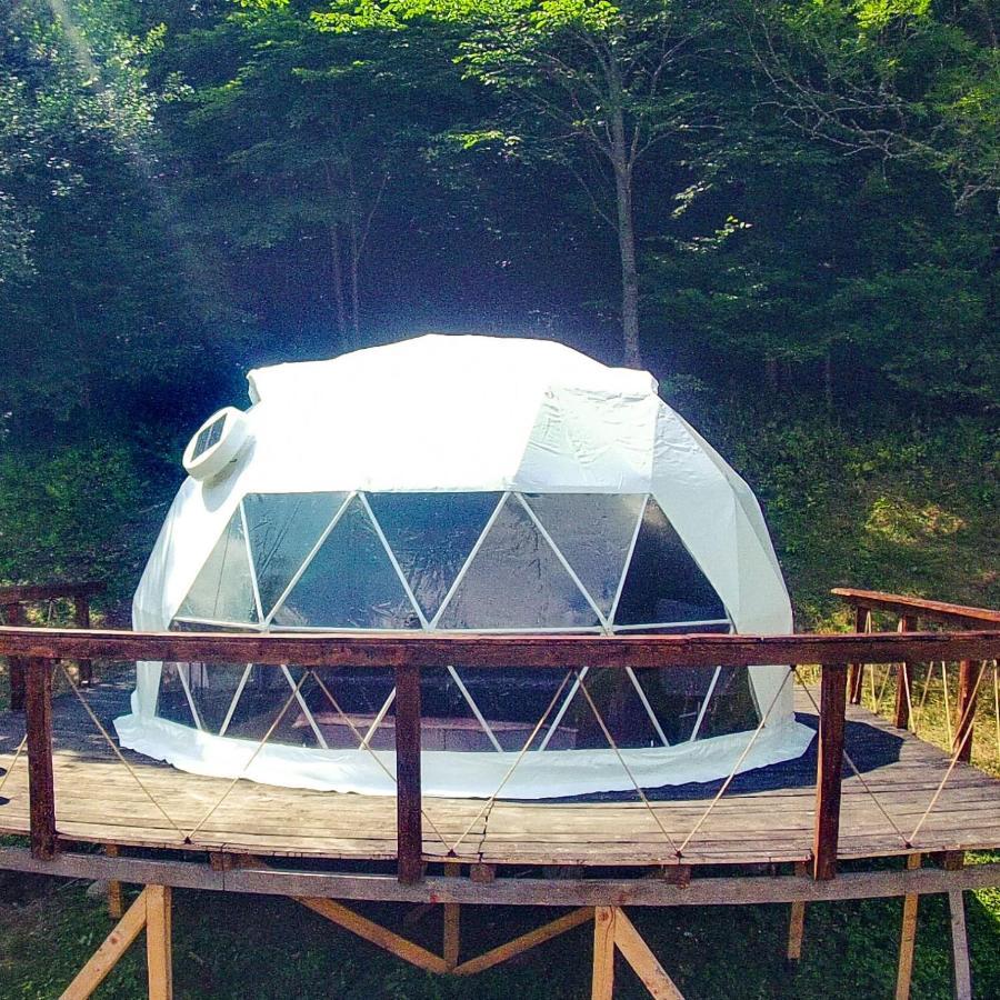 Apuseni Glamping Retreat Hotel Bucium  Exterior foto