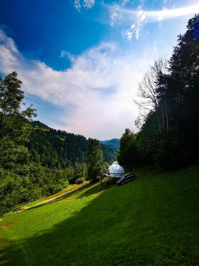 Apuseni Glamping Retreat Hotel Bucium  Exterior foto